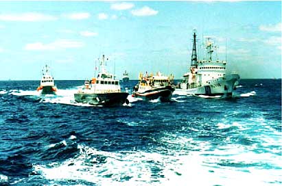 ��t�������߂���̊C�x��