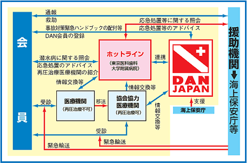 DAN JAPAN�z�b�g���C���T�[�r�X�T�O�}