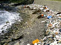 �C�݂ɕY�������S�~