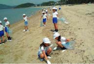 �Y���S�~�𕪗ޒ�������q������