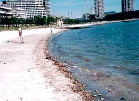 ����̕Y�����������̊C��