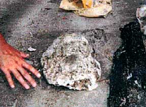 �S��20cm�𒴂������