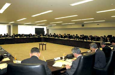 �����p�Đ����i��c�̗l�q