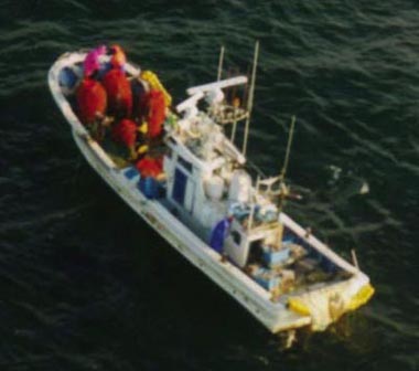 ���ɂ����������̋��D