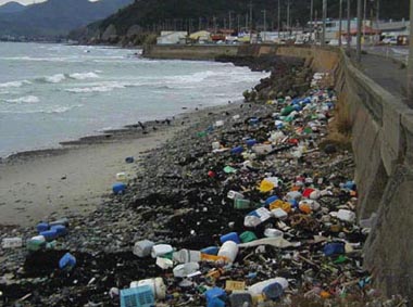 �C�݂ɕY�������S�~