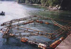 �������ꂽ�{�B��