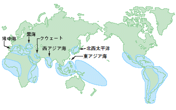 ���E�̒n��C�s���v��