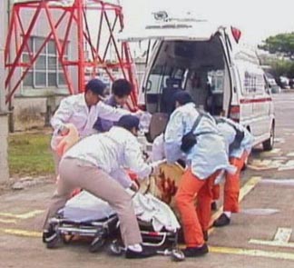 �}���A���̗l�q