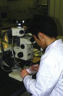 �������ɂ��h���̊Ӓ���