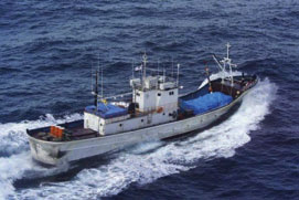 平成11年3月23日(石川県能登半島沖)(その1)