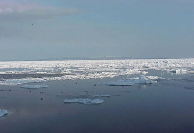 ���㓇�i�m���������B�e�j