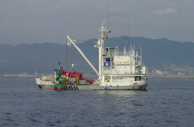 �q�H�W���̈ێ�