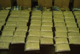 �������ꂽ�o������