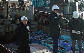 �����������s���C��ۈ���