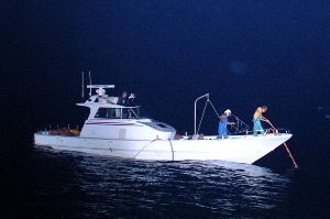 �������̋��D