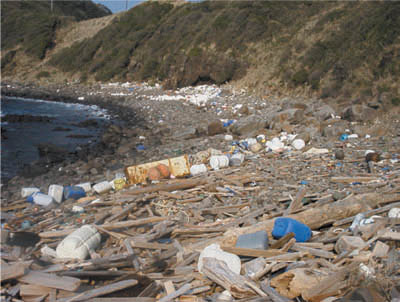 �i�ʐ^�j�C�݂ɕY�������S�~