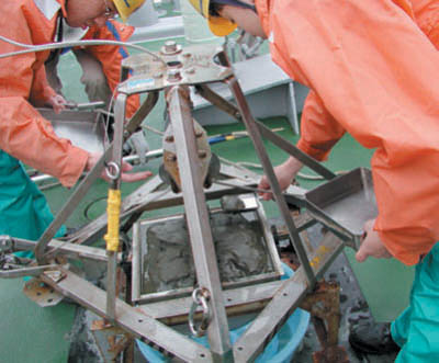 �i�ʐ^�j�̓D�̗l�q