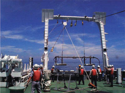 �i�ʐ^�j�D���ƕ��i