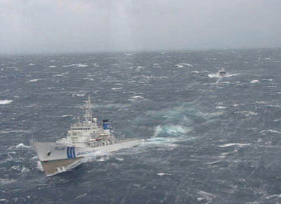 �����q�̏�