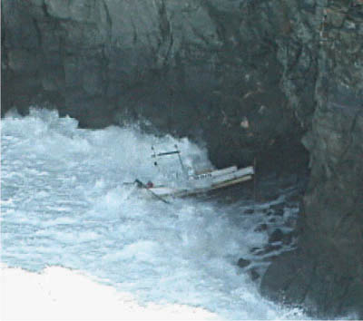 ���ɏ��g���Ă��鋙�D