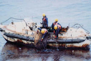 �C��h�ЁE�C�m���̕ۑS 