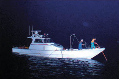 �������̋��D