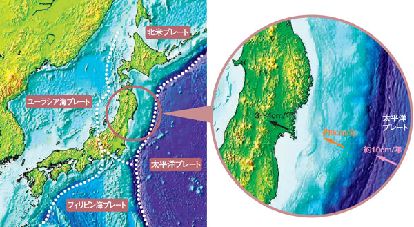 4�̃v���[�g