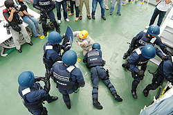 �e���΍�P��