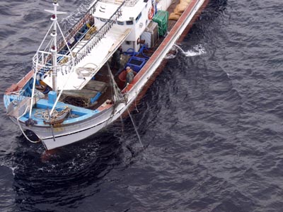 �s�@���ƒ��̊؍����D