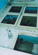 �s�@��������Ă����D���i�D��ɍ�����ύځj