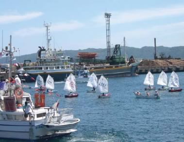 �{�[�g�V��