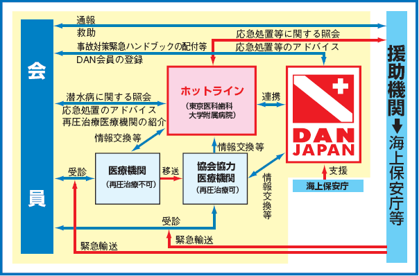 DAN JAPAN�z�b�g���C���T�[�r�X�T�O�}