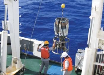 CTD�����̗l�q