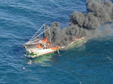 �D���΍Ђ̗l�q