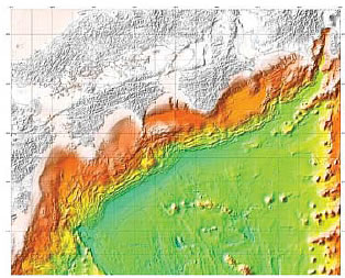 �}���`�r�[���������[�@���