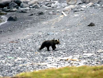 �C�݂�舕�����q�O�}