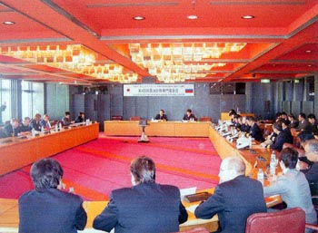 ��S����I���h�����Ɖ�̖͗l�i�D�y�j