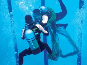 �P���̗l�q