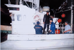 �����D�̑{��