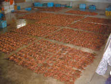 ���������т���