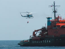 ���V�A�~���D����݂̒�グ�~���P��