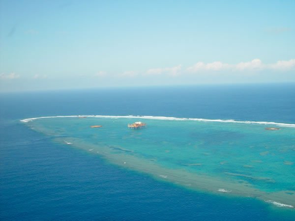 ���m����