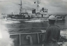 �؍��x����������{���D��ی삷�鏄���D