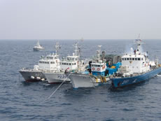 �������Ɗ؍��x�����ɋ��܂ꂽ502�V���v����