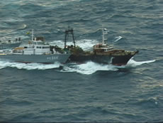 ���s�ڌ����鏄����