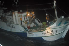 �C��ۈ����̗����������󂯂��p���D