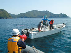 ���C�t�W���P�b�g�̒��p�w��