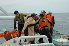 �~������̗l�q