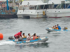 �{�[�g�V��