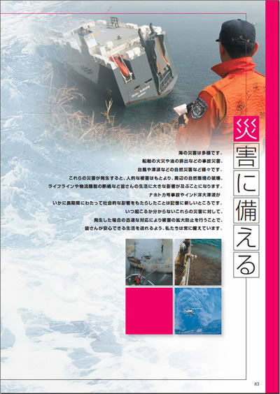 �ЊQ�ɔ�����